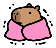 Homp in a pink blanket