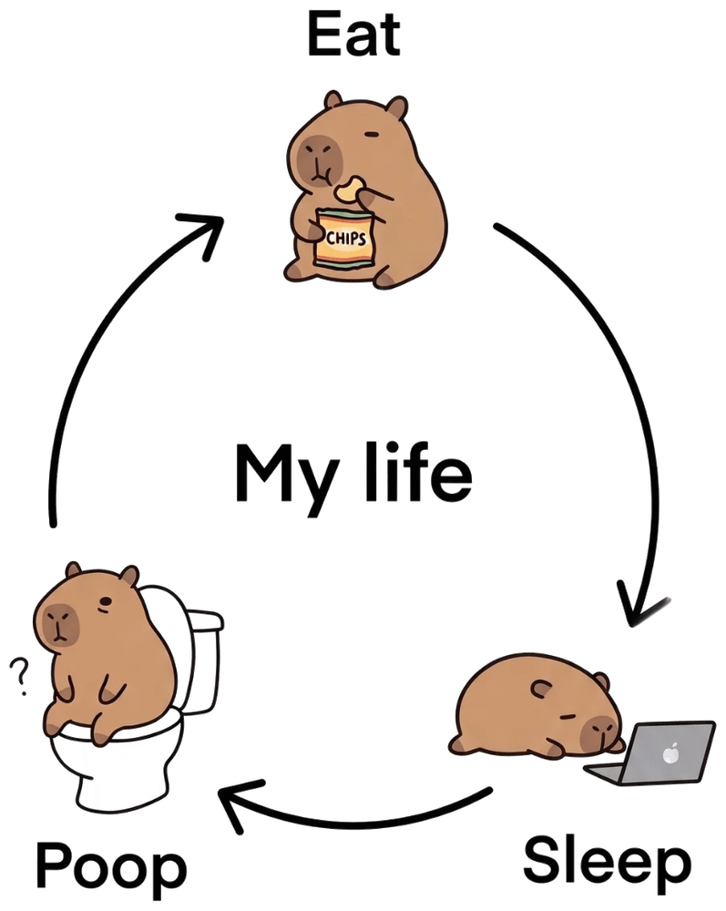 Homp's daily cycle: eat, sleep, poop